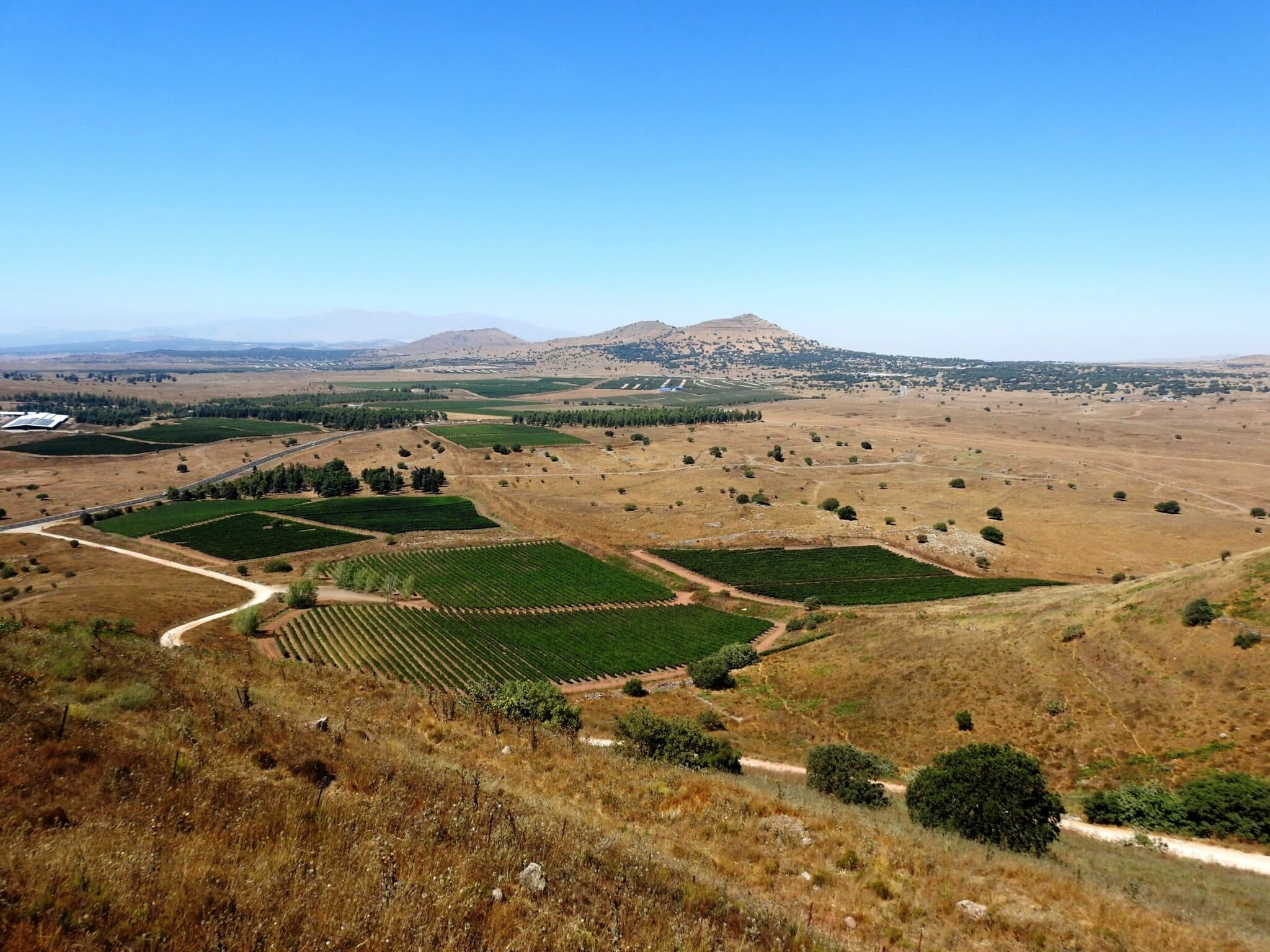 האיש שלנו בדמשק