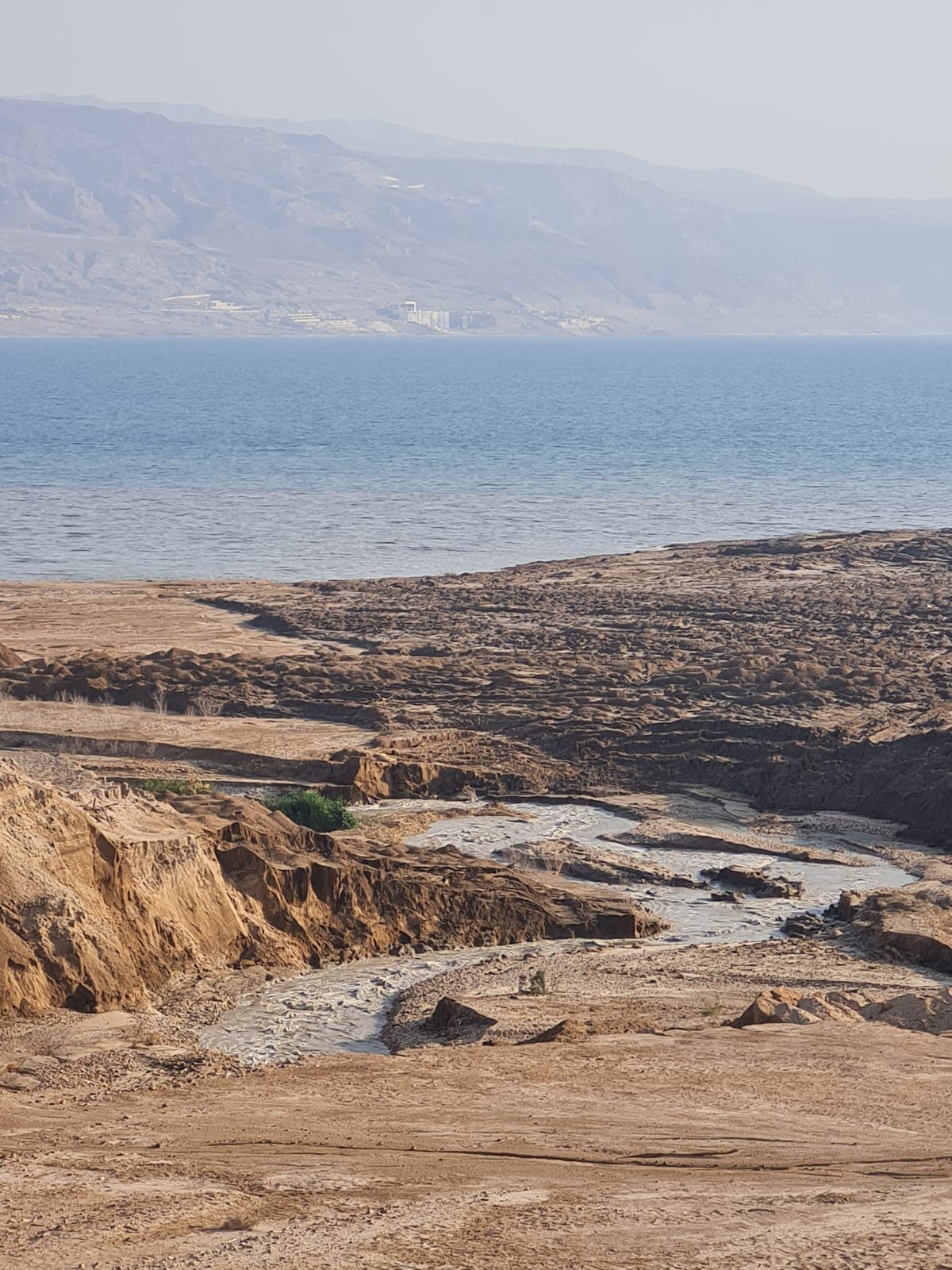 שפך הירדן ובית הערבה