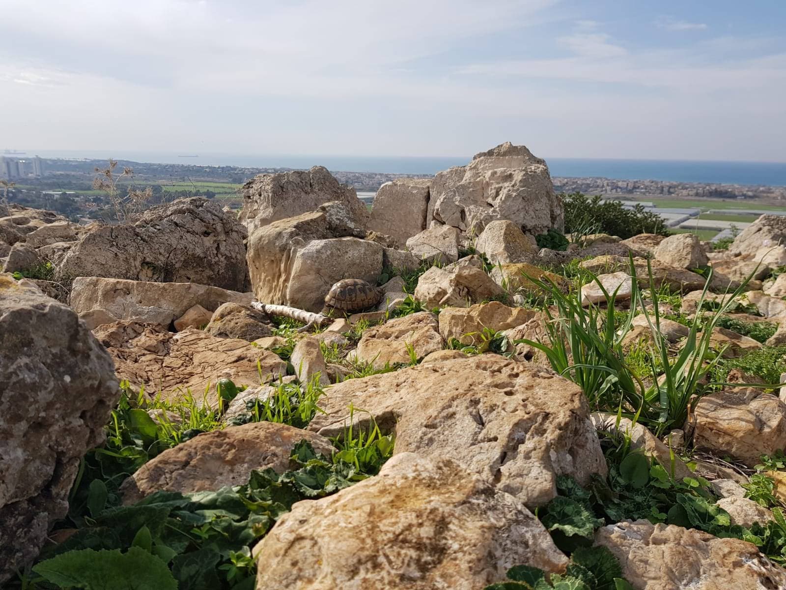 טיול ברמת הנדיב