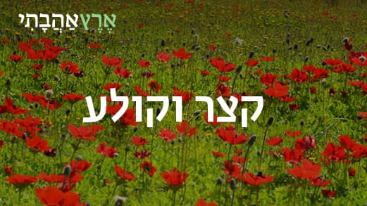 קצר וקולע: לפריחת האירוס הנצרתי בהרי נצרת