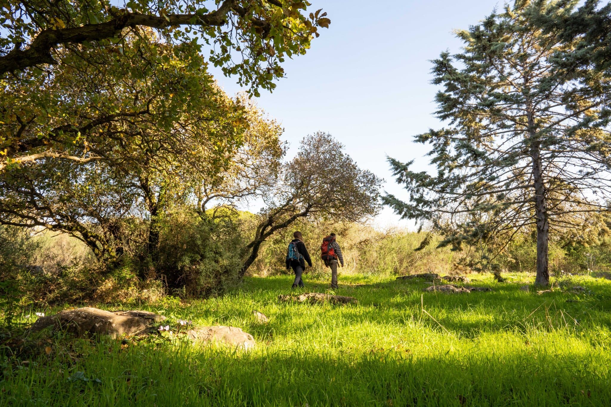 פריחה ונוף בגבעות בית קשת