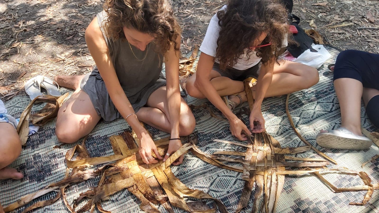 חוזרים אל הטבע: סדנאות