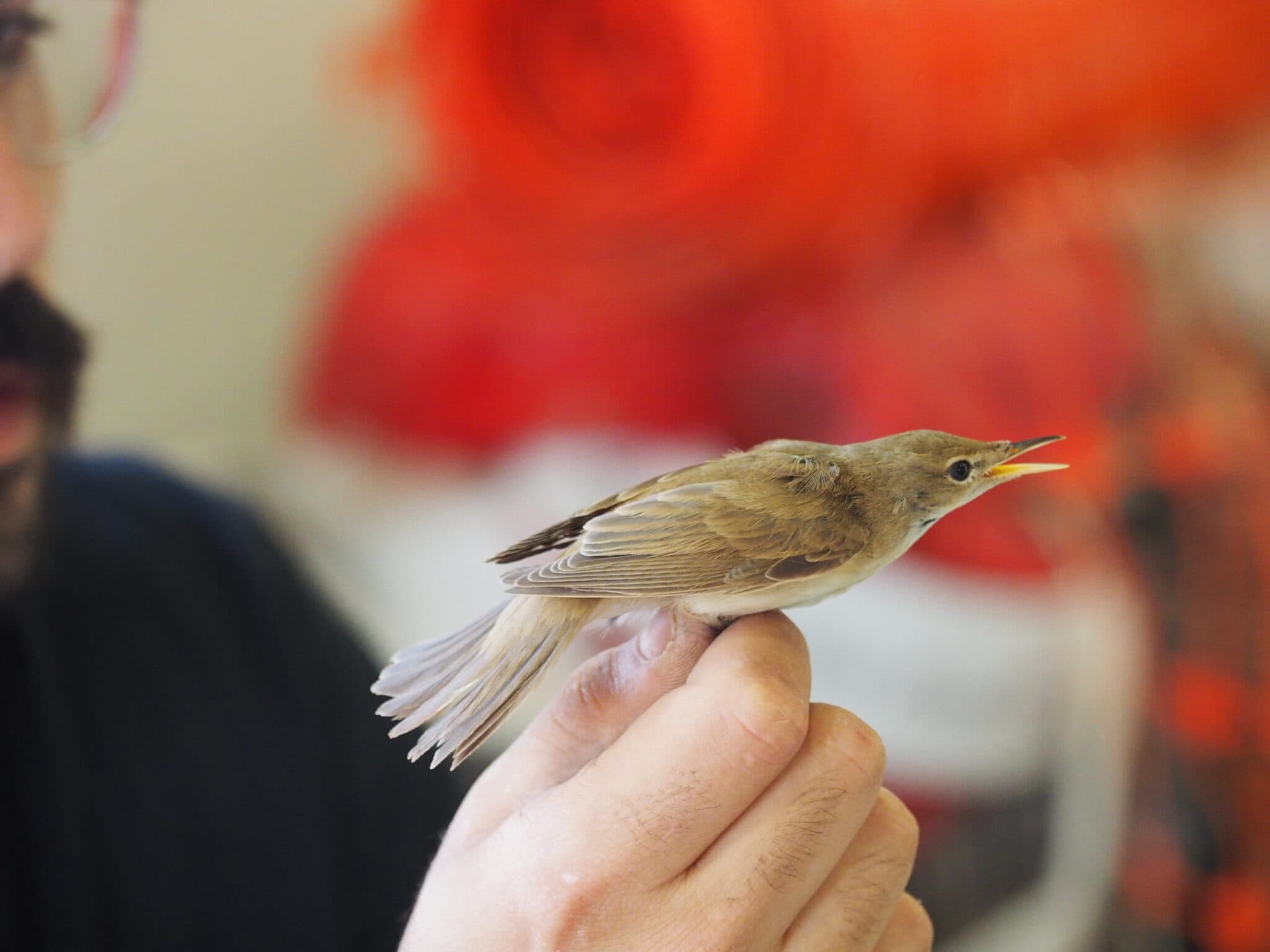 סיור בפארק הצפרות עם טיבוע